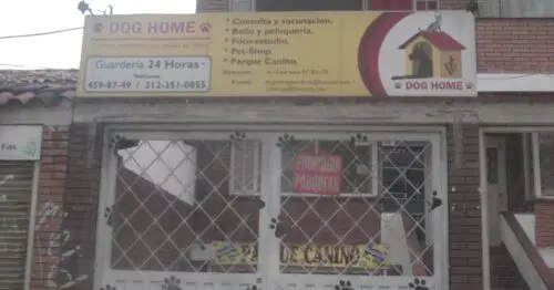 DOG HOME DOG HOME